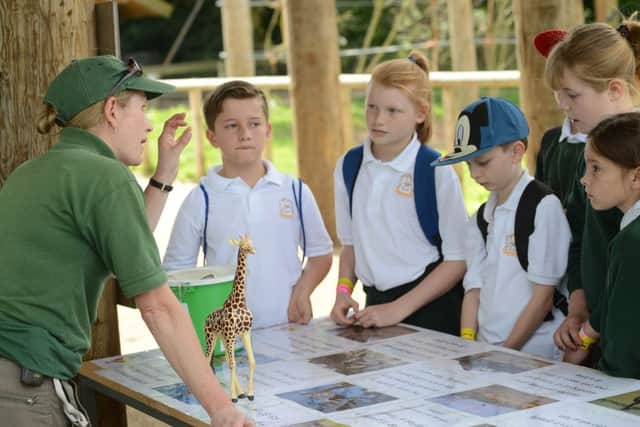 Picture courtesy of Yorkshire Wildlife Park
World Giraffe Day at the Wildlife Park, Doncaster.