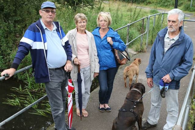 Angry residents worried about the increase in Giant Hogweed along the River Rother