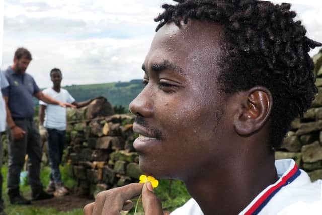 Refugees from British Red Cross helping repair a wall near Froggatt: Omar Eid uses a buttercup from the meadow to check if he likes butter during a walling break