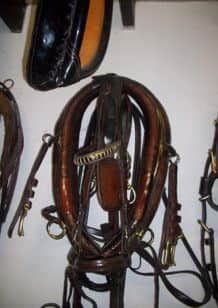 Tack equipment stolen from The Red House stables in Derbyshire.