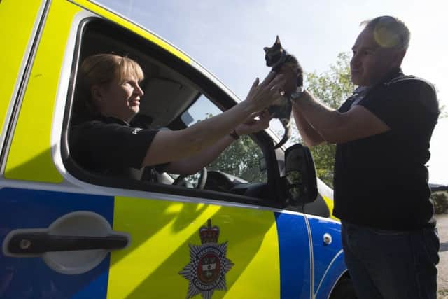 16/08/16

At just 10-weeks-old, this cute little kitten from a farm in the Derbyshire Peak District has already used up a couple of her 9(99?) lives after hitching a ride under a police van bonnet.