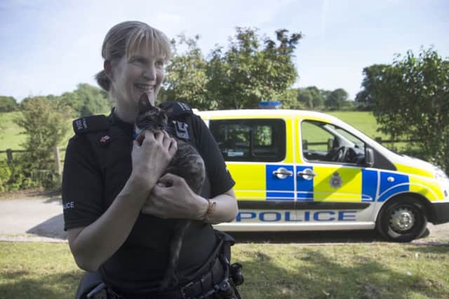 16/08/16

At just 10-weeks-old, this cute little kitten from a farm in the Derbyshire Peak District has already used up a couple of her 9(99?) lives after hitching a ride under a police van bonnet.