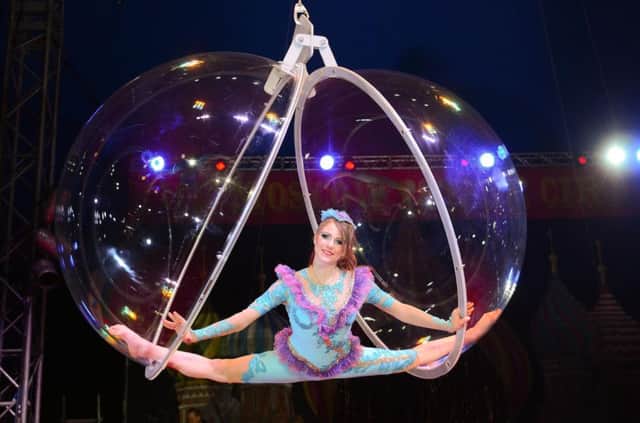 Moscow State Circus.