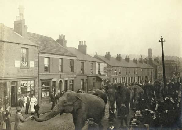 Parade of Barnum and Bailey's Circus elephants - Courtesy of R Shemwell and www.picturethepast.org.uk