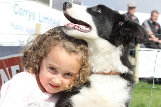 Past Hayfield Sheepdog Trials, Nyia Hill with her family's puppy Zac