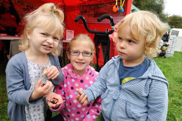 Former family Fun Day at Tapton Lock Visitor Centre. Pictured at the craft tent with their jumping clay ladybirds are Darcy 3, Anna 7 and Arthur 3.