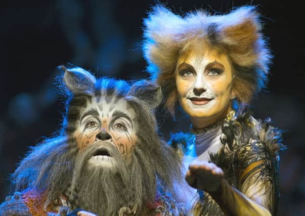 Cats at Sheffield Lyceum Theatre. Photo by Alessandro Pinna.