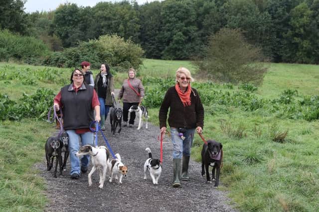 Dog walkers using the Five Pits Trail at Hasland