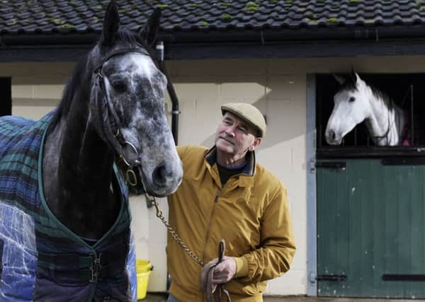 STUFF OF DREAMS -- Yorkshire trainer Malcolm Jefferson is hoping talented grey Cloudy Dreams can win some decent prizes this Jumps season.