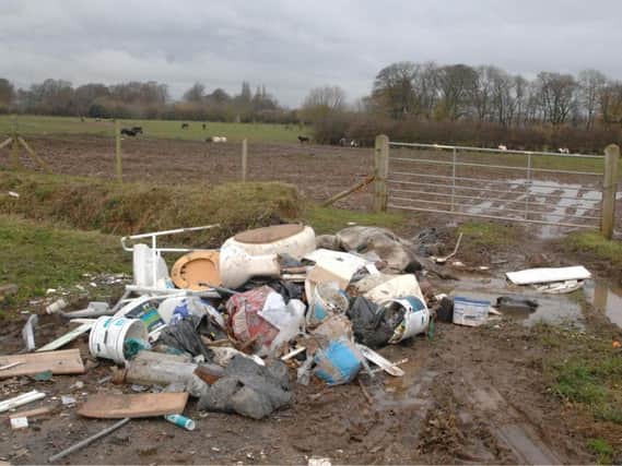 The horse was dumped in a rubbish heap in Meadow Lane, Shirebrook.