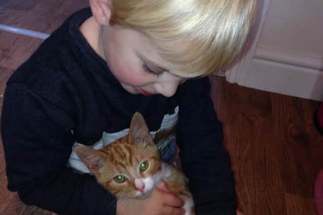 Six-year-old Lucas with his ginger cat Leo before it was killed.