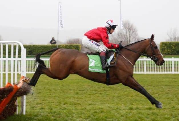 GOOD AS NEW -- popular jumper The New One on his way to victory in the big race at Cheltenham last Saturday, the stanjames.com International Hurdle.