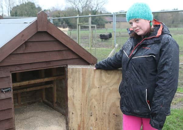 Bird Flu warning, poultry keeper Nyree Clark with one  of her empty coops after all her birds were moved inside