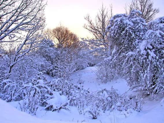 Arctic air is set to bring freezing temperatures and snow to much of the UK this week.