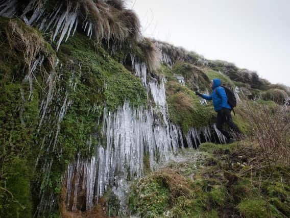 A hiker braves slippery conditions to marvel at giant icicles on the the steep sides of Winnats Pass near Castleton.