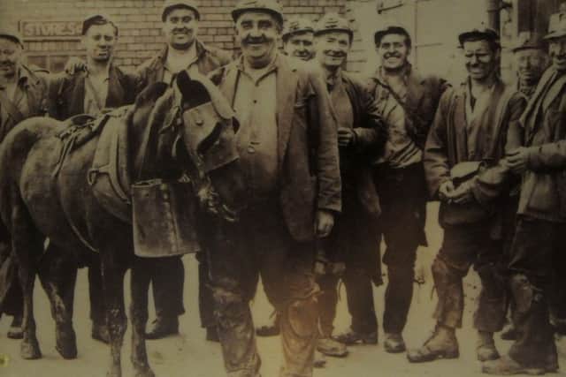 A framed photo of Duke, the last pit pony that Doug shod at Shirland Colliery with some of the miners, which is in Doug's hugh collection.