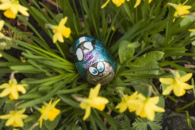 Cadbury's easter egg, part of the Easter Egg Trail. Picture by John Millar/National Trust Images.