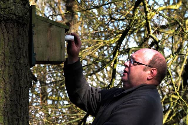 Volunteer ranger Keith Fisher removing a 'cork' from a nest box. Photo: National Trust / David Bocking.