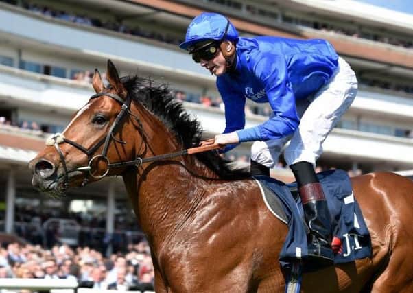 Barney Roy, who put up one of the best 3yo performances seen so far this season, winning the JLT Greenham Stakes at Newbury, and now goes for the Qipco 2,000 Guineas at Newmarket this weekend.