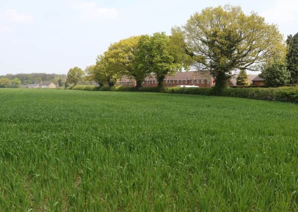 The fields at Holmgate