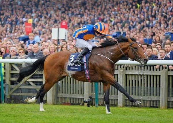 Dual 2,000 Guineas winner Churchill, who is a hot favourite for the big race of the opening day at Royal Ascot, the St James's Palace Stakes.