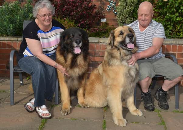 Shelagh Shaw pictured with Scooby, Jake and her husband Ian.