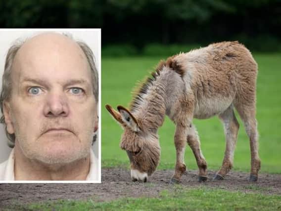 Darrel Duffill killed Claude the donkey in 2011.