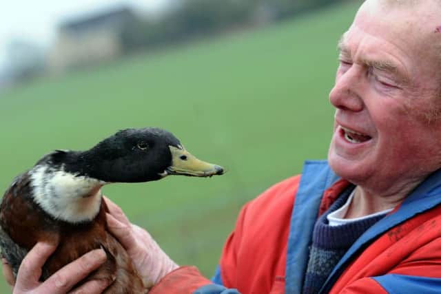 Cliff Mullins with 18 year old duck, Damon.