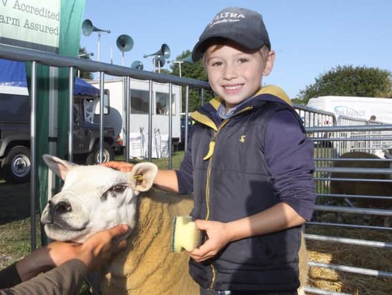 Fun from last year's Ashover Show.