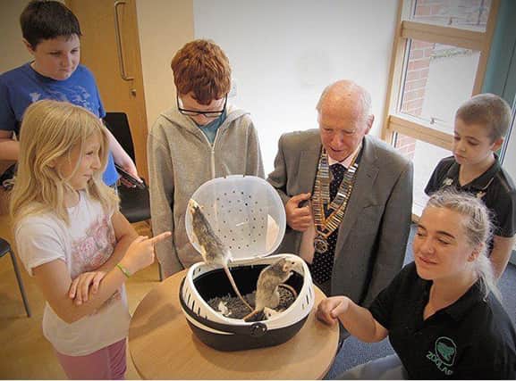 Chesterfield Rotary president Peter Barr with children from Fairplay, and Mini-Zoo co-ordinator Sophie Gray, getting to know Sausage the Dumbo Rat and his two friends.