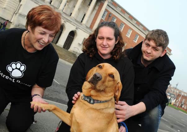 Sue Bradford, Tara Lynch and Martin Burgess from Street Paws, give one street dog some fuss and attention outside Chesterfield Town Hall on Monday night.