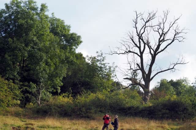 Surveying ash trees in Dove Dale. Photo: David Bocking.