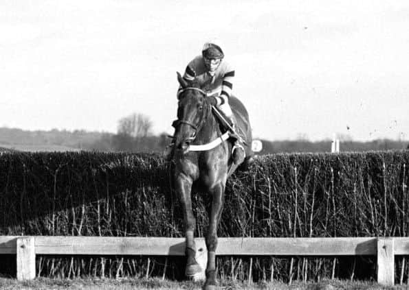 The great Burrough Hill Lad is steered to victory by John Francome in the 1984 Hennessy Gold Cup.