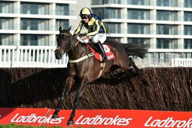 Novice chaser Willoughby Court, who was one of the most impressive winners over the two days of the new Ladbrokes Winter Carnival at Newbury.