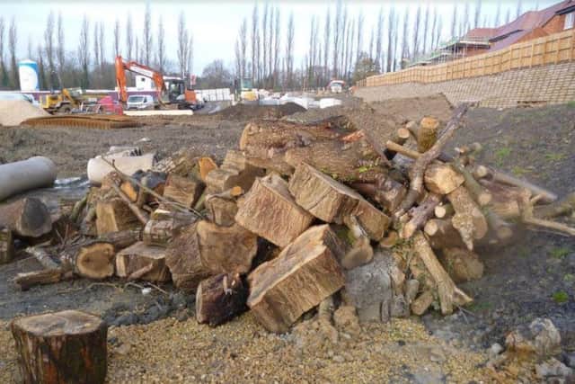 The felled trees at the Pomegranate Park development. Picture submitted by Chesterfield Borough Council.