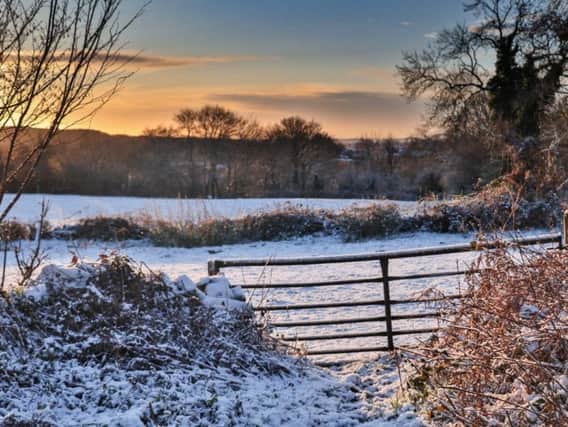 Our readers have captured some stunning images of the local landscape, wildlife and landmarks this year..