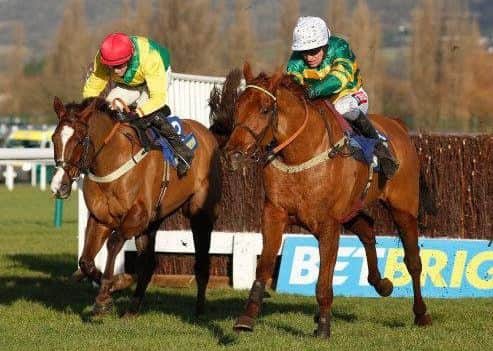 The enigmatic Yanworth (right) holds off Sizing Tennessee to win the Grade Two Betbright Dipper Novices' Chase at Cheltenham on New Year's Day.