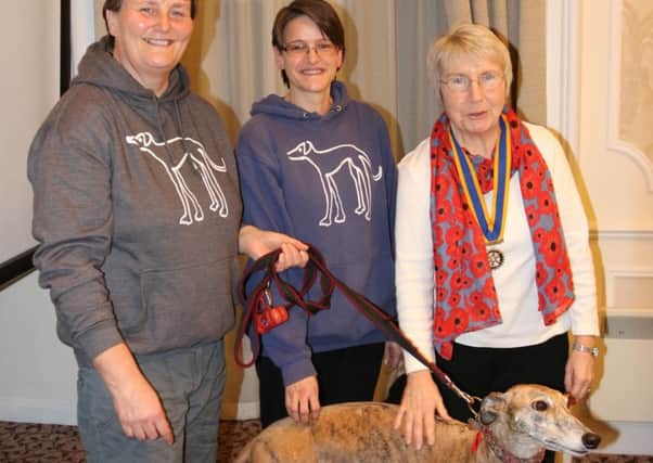 Bolsover Rotary Club hear a talk given by representatives of Sheffield's Greyhound Trust.