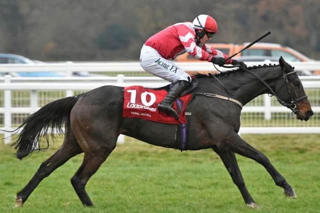 Total Recall, who was one of seven winners for champion trainer Willie Mullins at the new Dublin Racing Festival at Leopardstown.