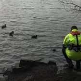 Environment Agency officers have been closely monitoring the impact of a cyanide spill in Shipley Country Park.