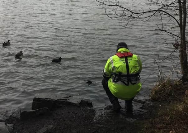 Environment Agency officers have been closely monitoring the impact of a cyanide spill in Shipley Country Park.