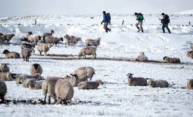 Hikers walk in the snow near Castleton in the Derbyshire Peak District.  Photo - F Stop Press