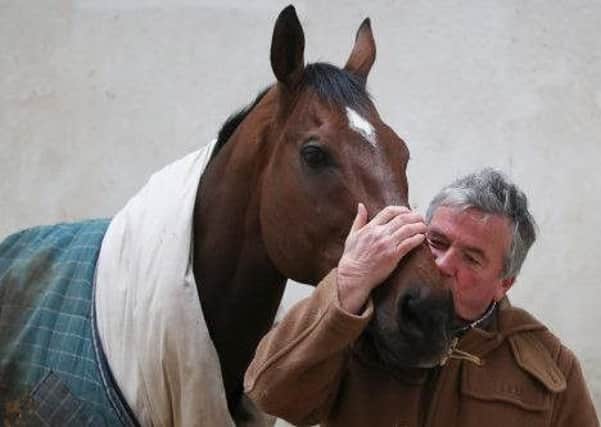Trainer Nigel Twiston-Davies shows his affection for popular veteran The New One, who is back for his seventh Cheltenham Festival run.