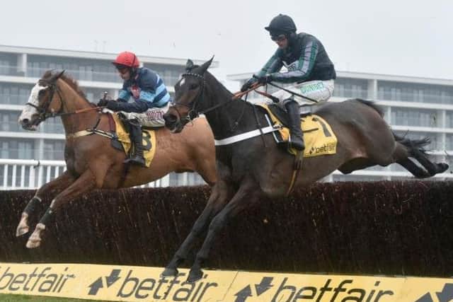 Nicky Henderson's Altior (nearside), who is one of the hottest favourites of the week in the Betway Queen Mother Champion Chase.