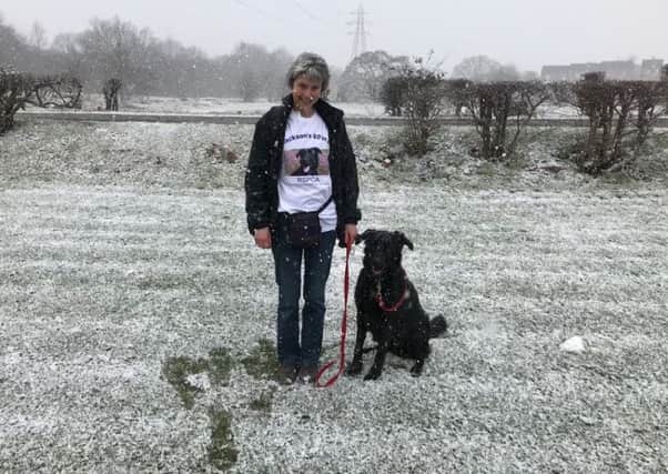 Nicky Crawford and Jackson are carrying out eight different walks covering 80 kilometres as part of the Chesterfierld and North Derbyshire RSPCA branch's 80 for 80 challenge for its 80th birthday celebrations