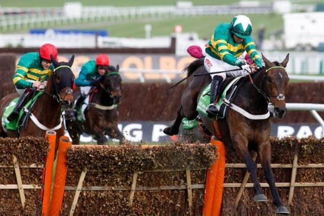 Buveur D'Air wins the Champion Hurdle at last year's Cheltenham Festival. He is a short-priced favourite to land a repeat success.