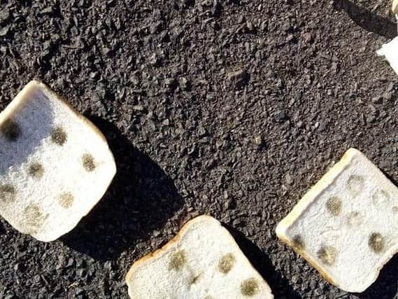 Bread covered in a mystery substance has been found in two Derbyshire parks