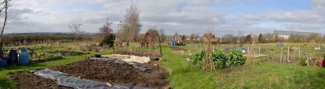 Mastin Moor Community Garden