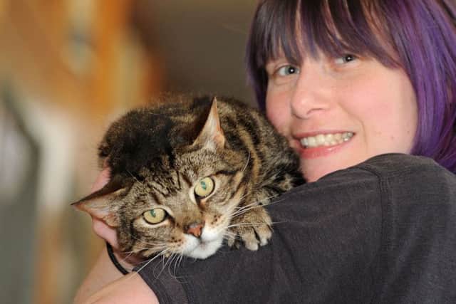 Ranger the domestic short hair tabby gets some attention from Rebecca Kennell.  The two year old is the longest termer in the cattery and is in need of a home.