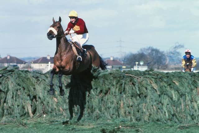 The legendary Red Rum, who won the Grand National three times in the 1970s.